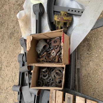 VANGATRICE SELVATICI MT. 2.30 webp s