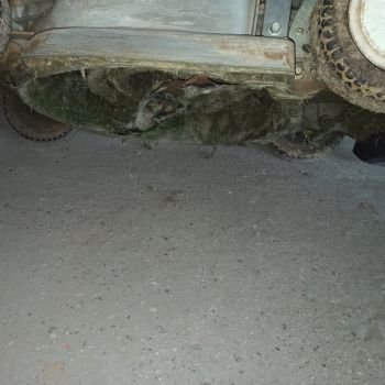 rasaerba honda mod.hrb425c webp s