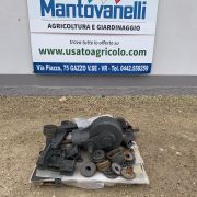 VANGATRICE SELVATICI MT. 2.30 image thumbnail