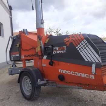 cippatore gandini mod.chipper 170 webp s